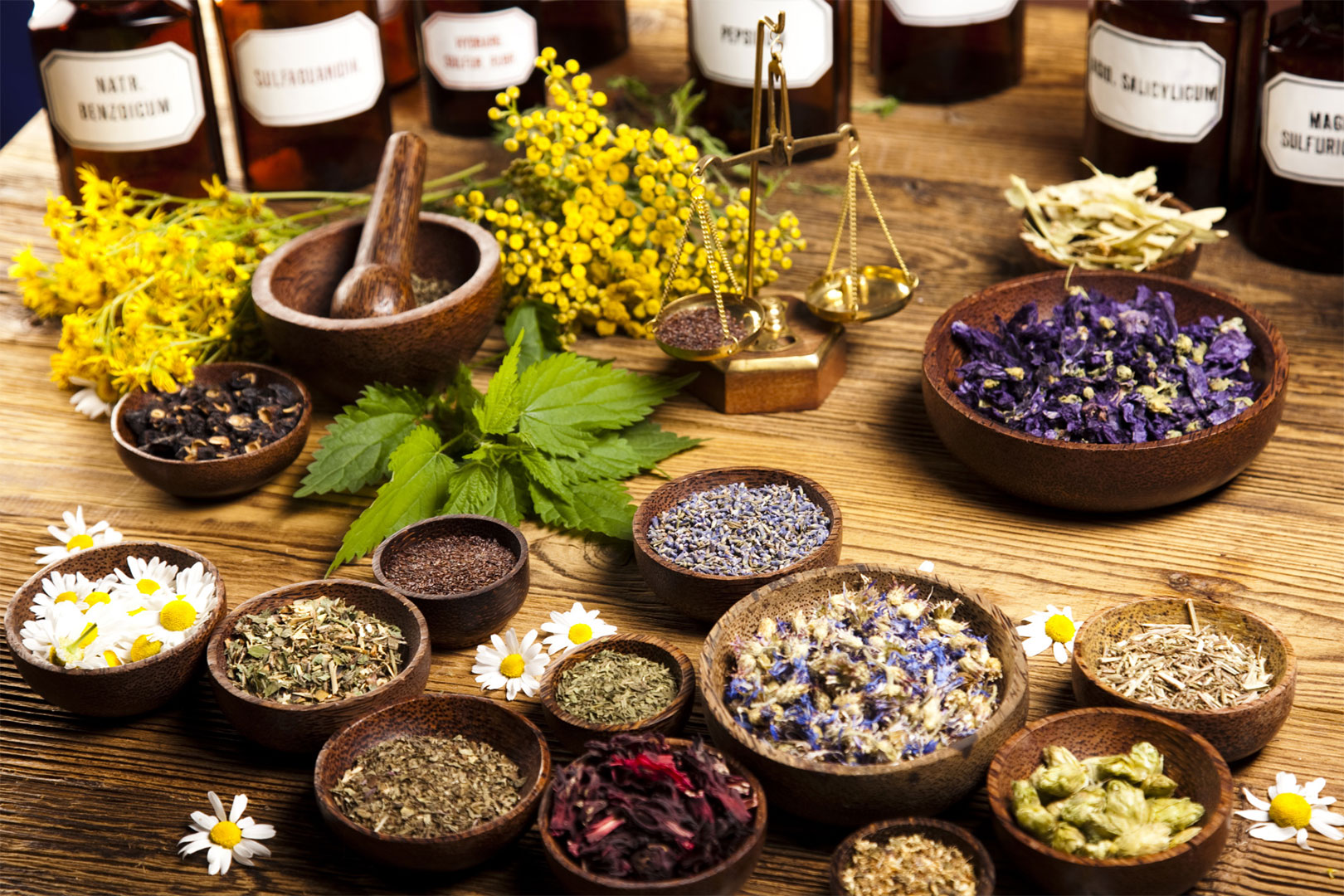 5 Conseils Pr paration Tisane
