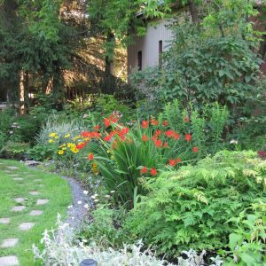 jardins atsenti auarata plantes médicinales