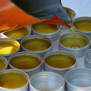 Formation, Ateliers pratiques plantes médicinales